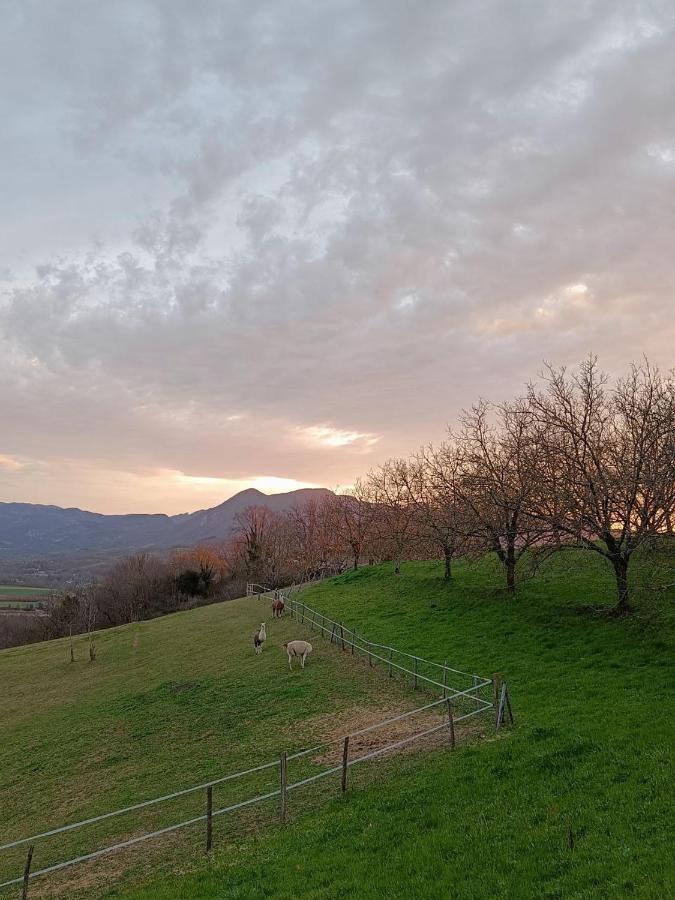 Le Perchoir Du Vercors - Panorama Sur Les Cimes Saint-Andre-en-Royans Ngoại thất bức ảnh